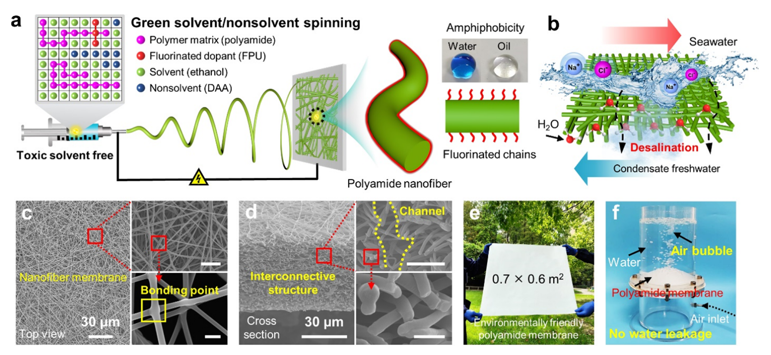 东华大学张世超&丁彬ACS Appl. Mater. Interfaces：具有互连双疏通道的环保型聚酰胺纳米纤维膜及其在海水淡化中的应用