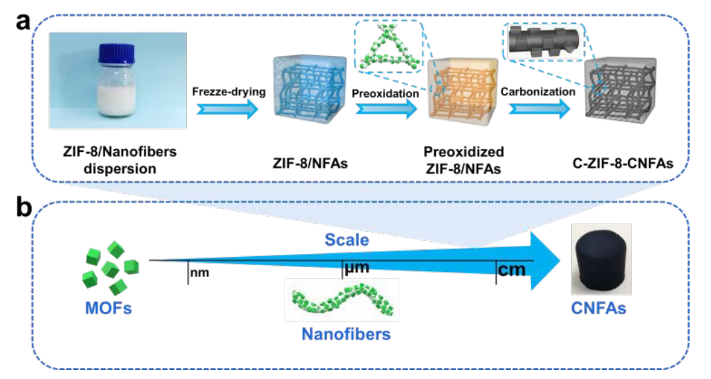 南京理工大学李健生&王超海Chem. Sci.：MOF衍生碳纳米纤维气凝胶的模块化组装及其在水处理方面的应用