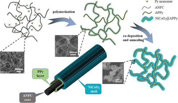 浙江大学程继鹏J. Colloid Interface Sci.：多壳结构NiCoO2@PPy@CNF的合成及其在高性能超级电容器中的应用