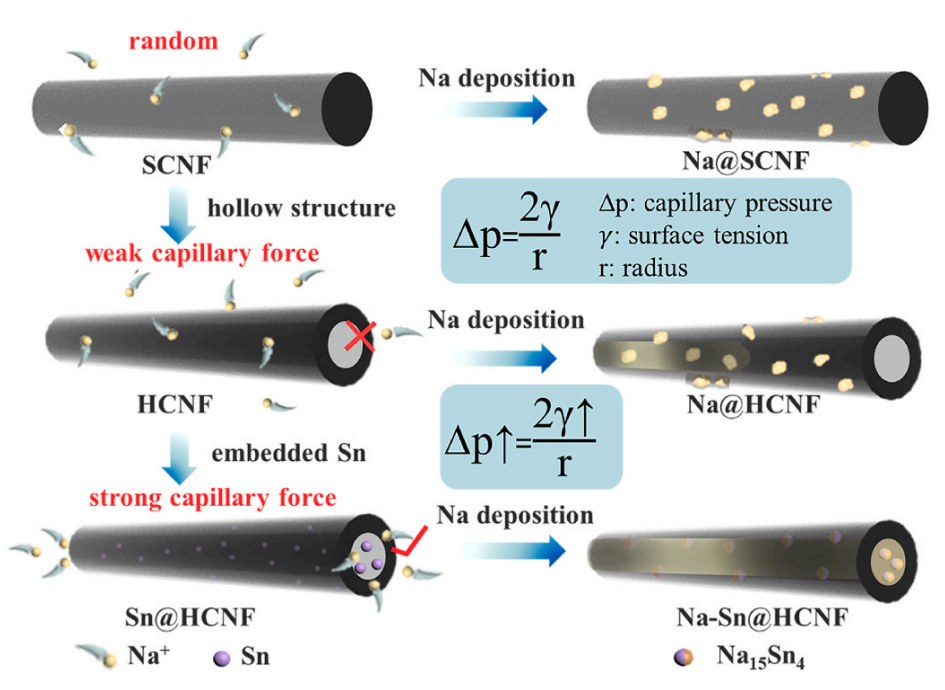 西北工业大学马越J. Power Sources：毛细力诱导金属钠注入Sn@HCNF支架用于机械柔性金属电池