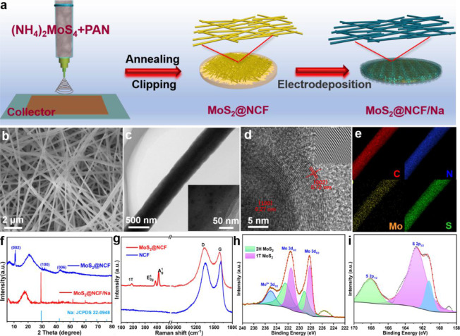 厦门大学李秋红Energy Storage Mater.：均质亲钠MoS2@NCF框架的制备及其在钠金属电池中的应用