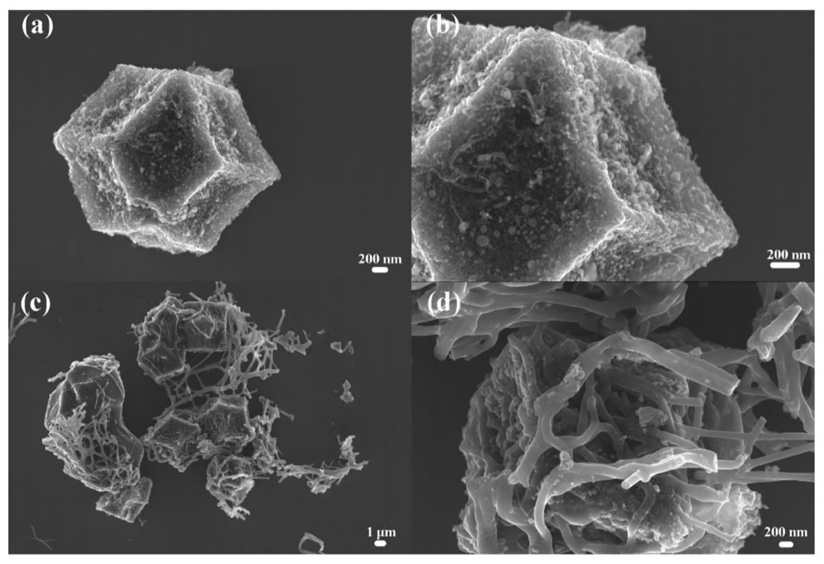 北方民族大学马金福ACS Appl. Energy Mater.：静电纺丝制备Co-N-C@PAN纳米复合催化剂及其ORR性能研究