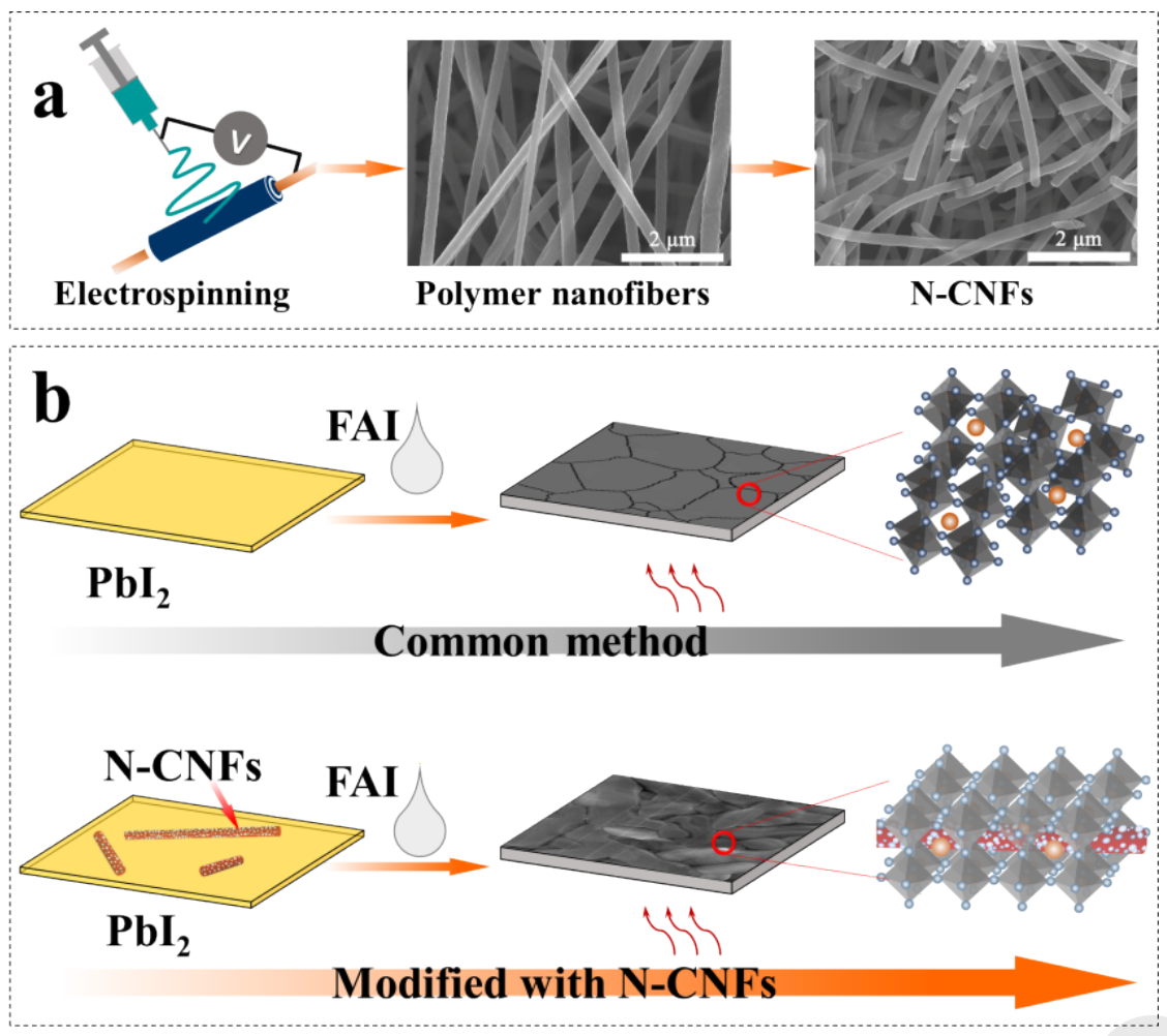 北京化工大学谭占鳌&刘勇&中国科学院大学周二军Chem. Eng. J.：电纺氮掺杂碳纳米纤维引导钙钛矿晶体择优取向以构建稳定的钙钛矿太阳能电池