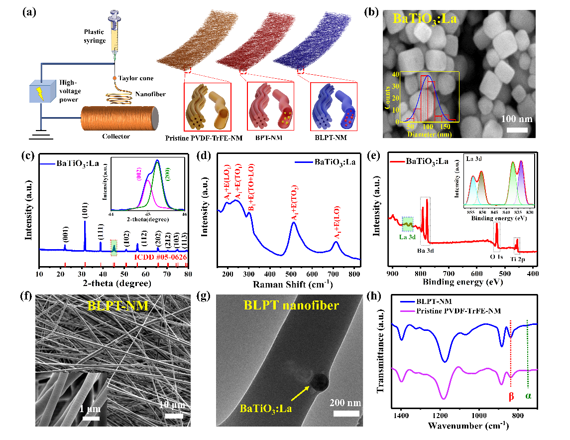 河南大学王新教授Nano Energy：基于BaTiO3:La嵌入纳米纤维膜的高性能摩擦纳米发电机