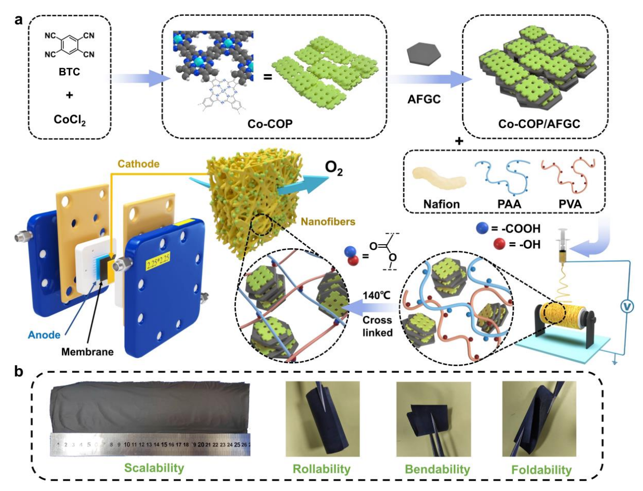 北京化工大学向中华&纽约州立大学布法罗分校武刚Adv. Mater.：集成式Co-COP纳米纤维电极的制备及其在聚合物电解质燃料电池中的应用