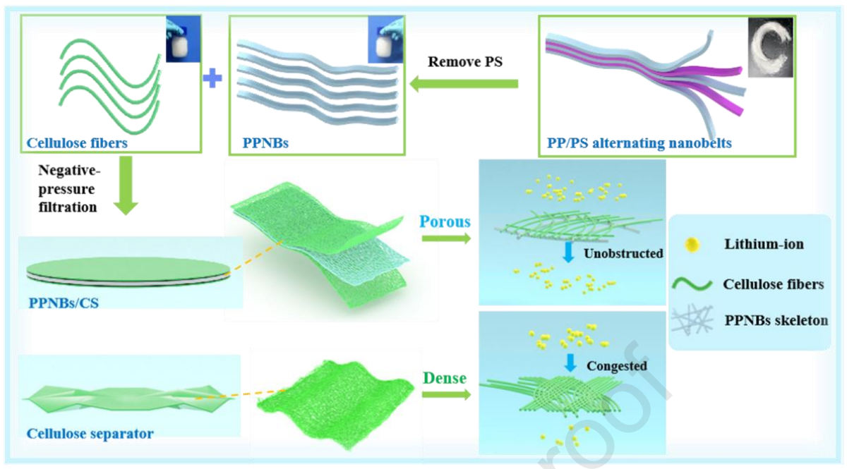 同济大学浦鸿汀J. Membr. Sci.：一种锂离子电池用PPNBs/CS复合隔膜的制备及其性能研究