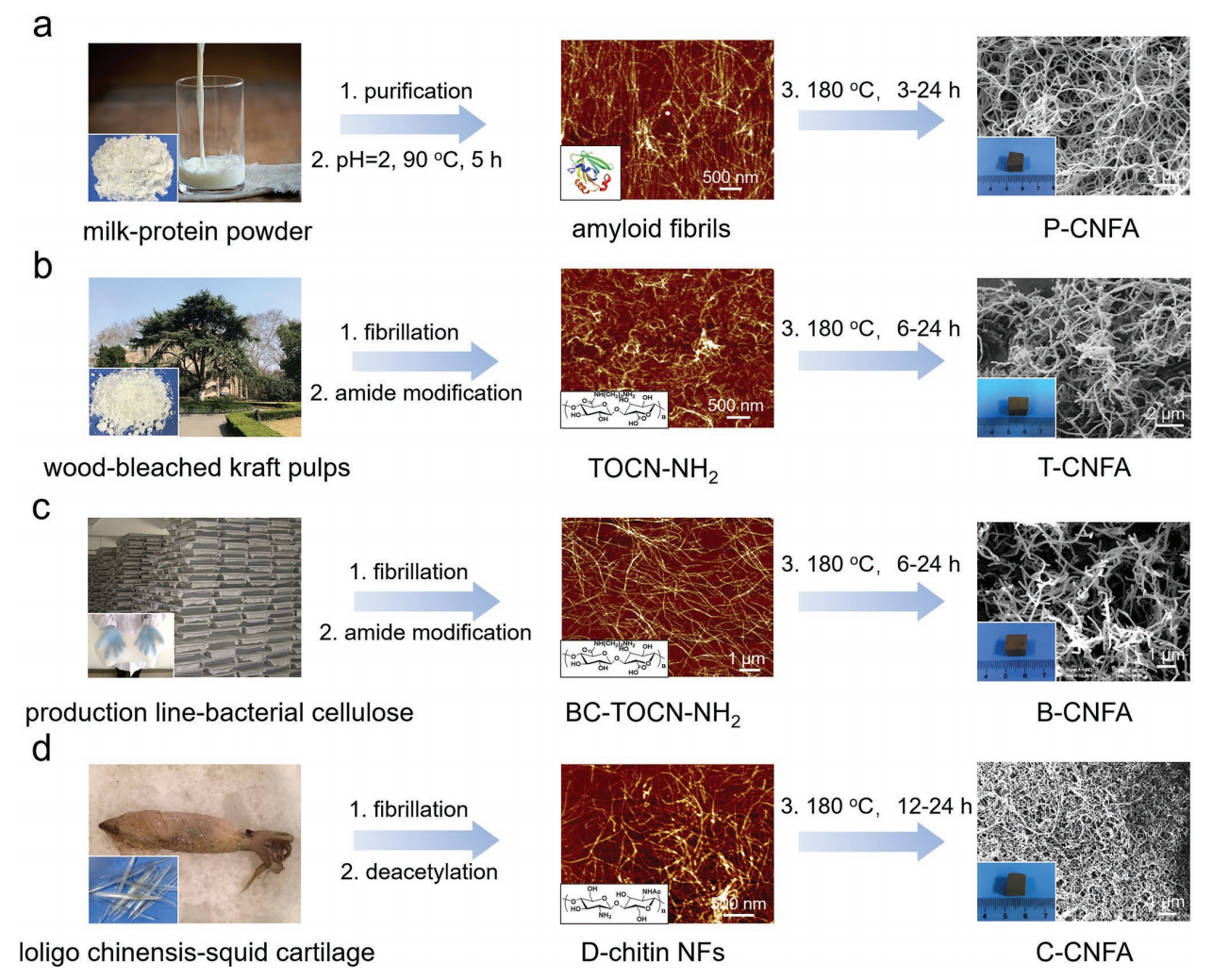 中国科学技术大学俞书宏Adv. Funct. Mater.：模板导向水热碳化方法制备全生物质衍生碳质纳米纤维气凝胶