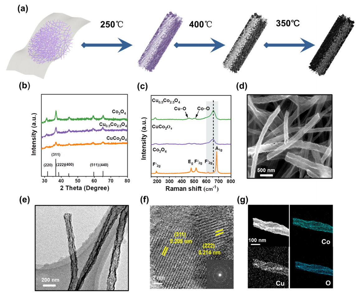 大连理工大学李新勇ACS Appl. Nano Mater.：CuxCo3–xO4尖晶石纳米纤维的制备及其在5-羟甲基糠醛选择性氧化中的应用