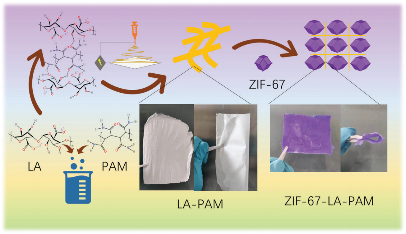 中国科学院大学崔巍&刘薇Adv. Sci.：原位制备复合凝胶固态电解质ZIF-67-LA-PAM及其在固态锂金属电池中的性能