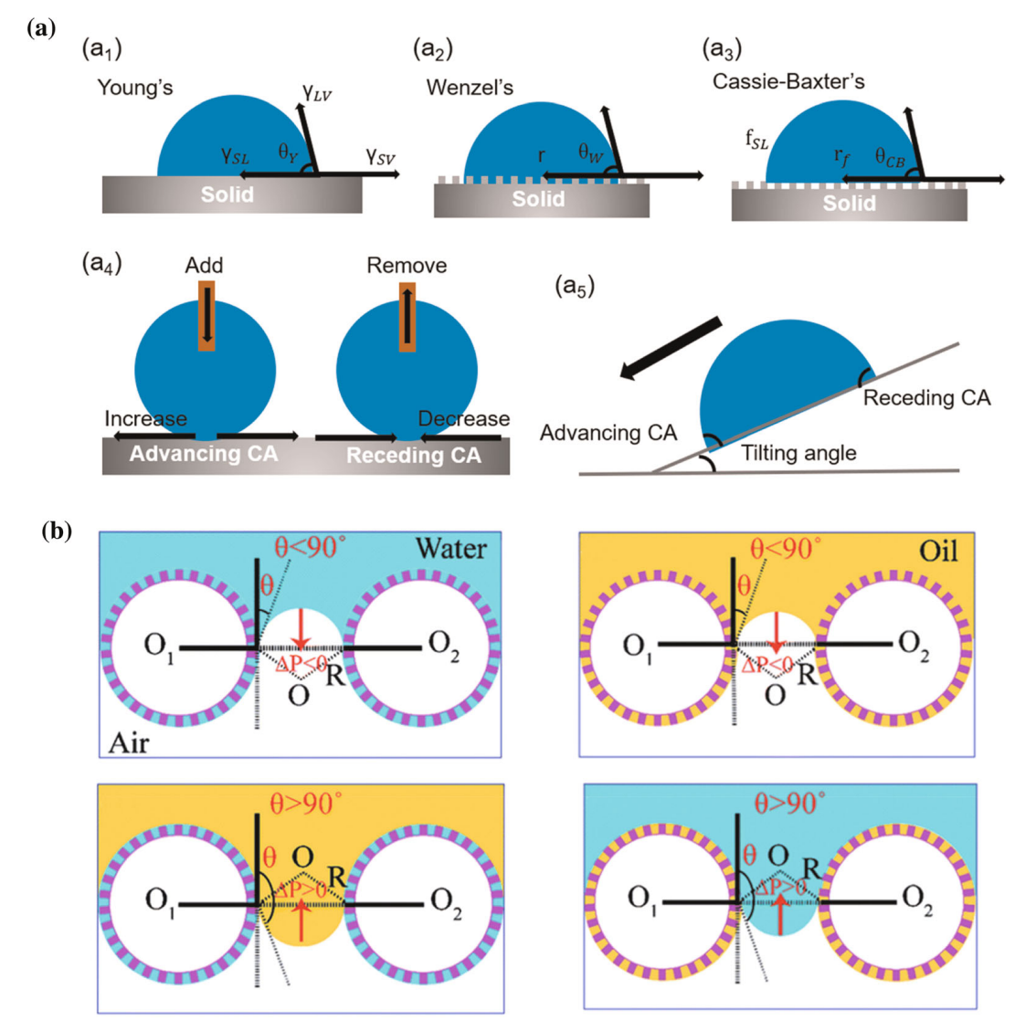 青岛大学王彦欣&黄林军&唐建国J. Mater. Sci.：超润湿膜和纳米纤维在高效油/水分离应用中的研究进展