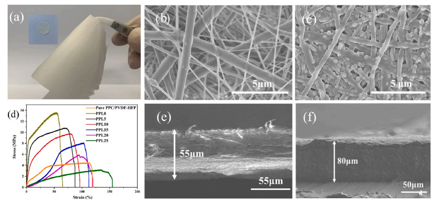 北京理工大学穆道斌J. Power Sources：具有纤维网络结构的PPC/PVDF-HFP-LLZTO-SN自支撑固态电解质膜及其在固态锂金属电池中的应用