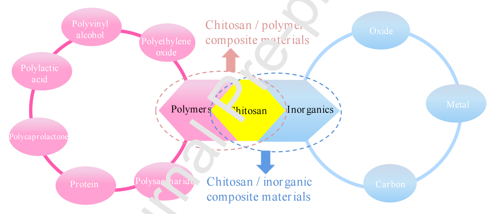 山东中医药大学毛近隆&齐鲁工业大学杨鹏飞Int. J. Biol. Macromol.：壳聚糖基医用电纺纳米纤维的制备及应用研究进展