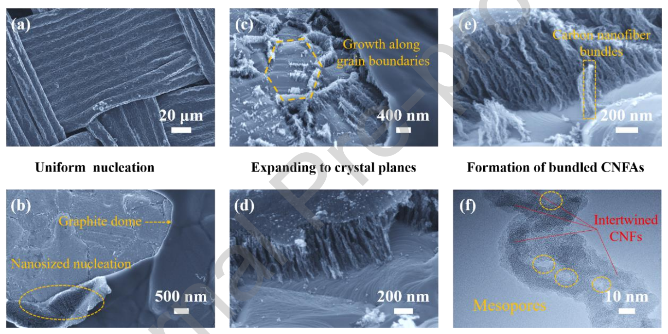 天津工业大学张志佳&天津大学康建立J. Alloys Compd.：在Cu-Ni固溶体织物上生长成束碳纳米纤维阵列及其在钠离子电池和电容器中的应用