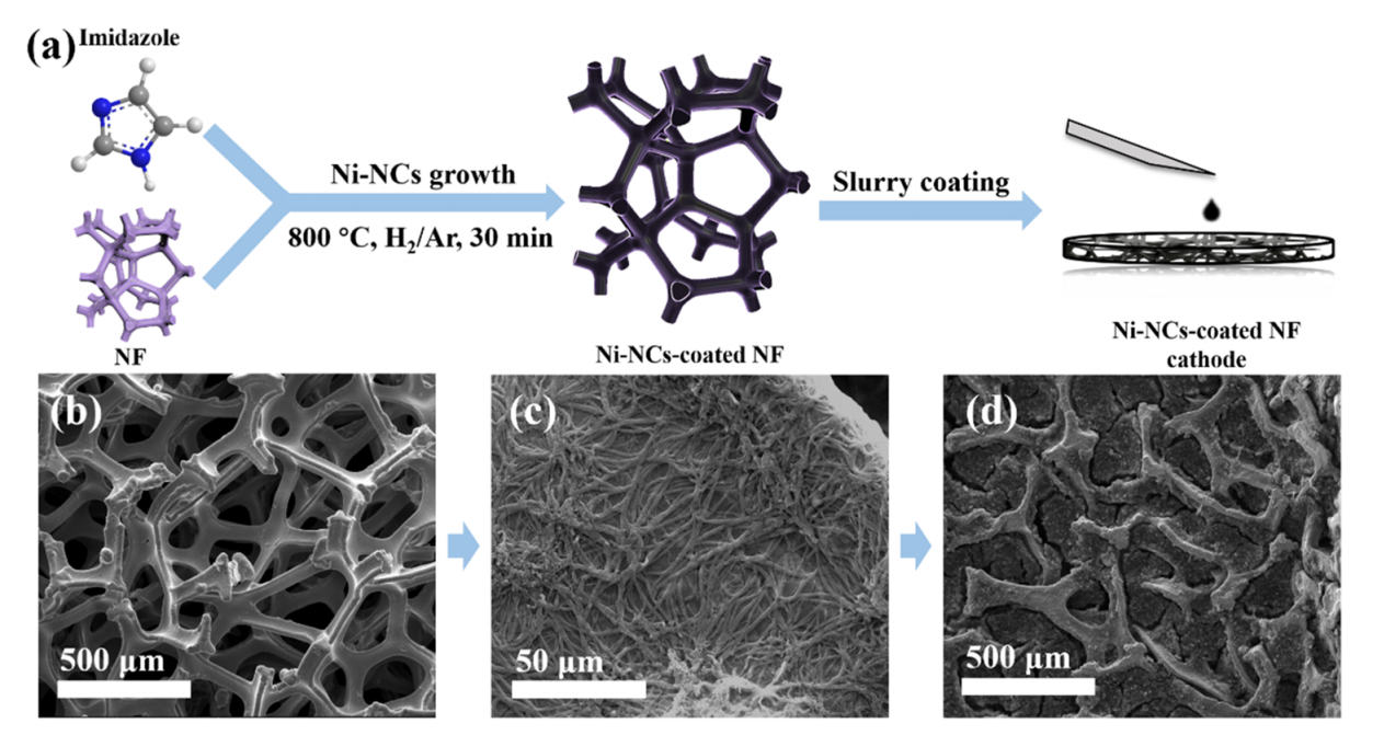 南昌大学谭龙&南昌大学戴贵平ACS Appl. Mater. Interfaces：Ni-NCs涂层泡沫镍正极的制备及其在高性能锂硫电池中的应用