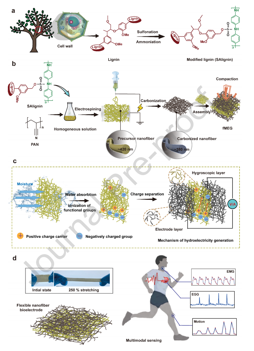 南京大学宁兴海&葛海雄&大连工业大学李尧Nano Energy：一种柔性三明治状生物质衍生纳米纤维湿气发电机，用于供电和多种传感应用