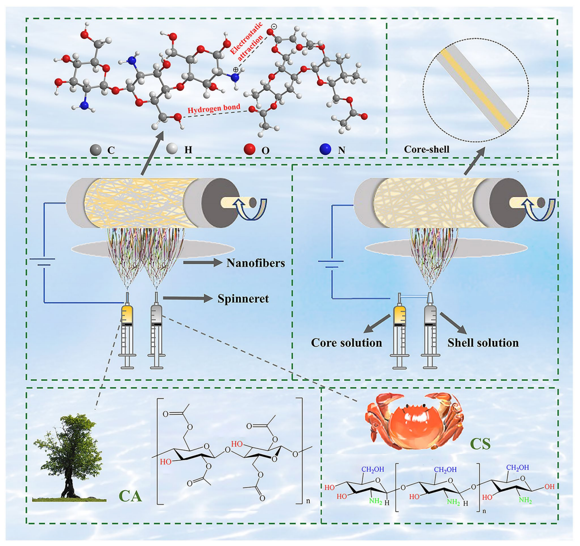 南京林业大学葛省波&西南林业大学张莲鹏&徐开蒙Adv. Compos. Hybrid Mater.：电纺纳米纤维醋酸纤维素/壳聚糖生物复合膜，用于去除污染水中的铬离子