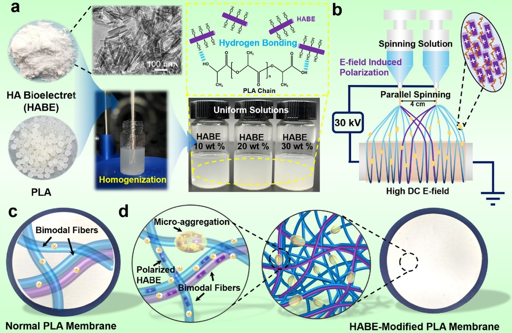 中国矿业大学王延庆&徐欢ACS Appl. Mater. Interfaces：可实现多种空气过滤机制的生物驻极双峰分布聚乳酸纤维膜