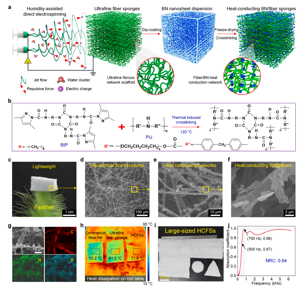东华大学焦文玲&张世超J. Colloid Interface Sci.：含氮化硼网络的导热弹性超细纤维海绵用于降噪