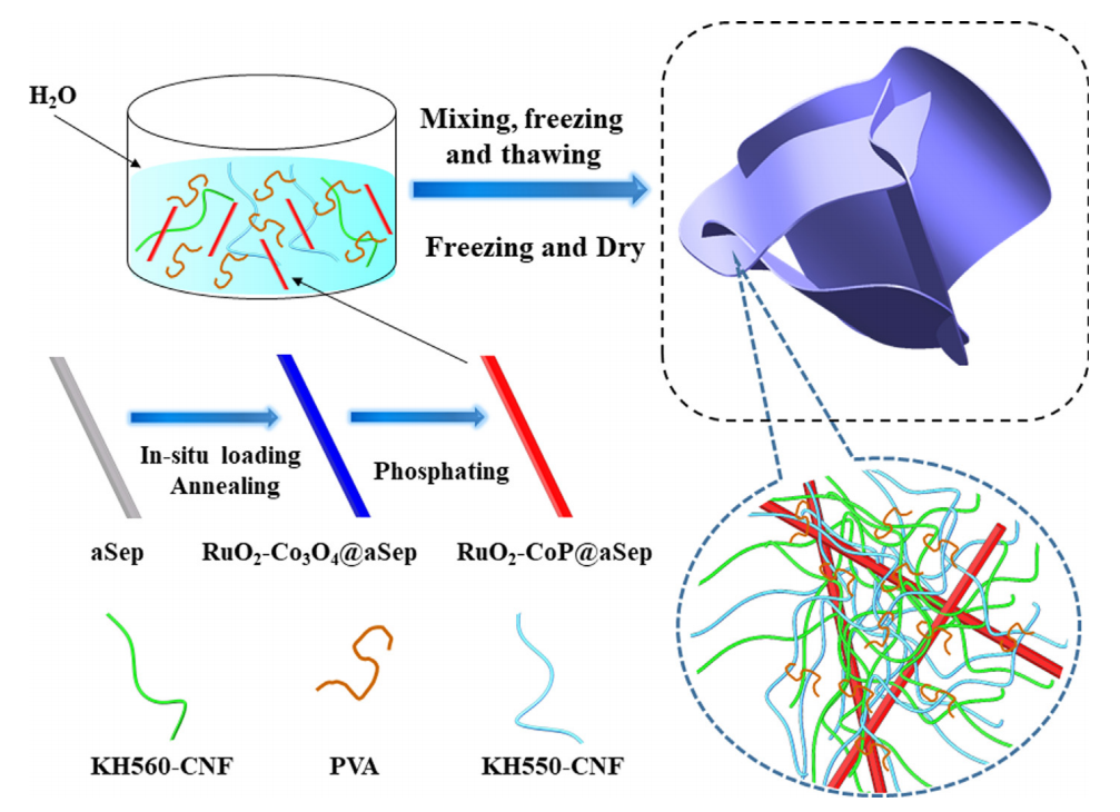 广西师范大学程蕾J. Colloid Interface Sci.：RuO2-CoP@aSep/CNF/PVA气凝胶作为NaBH4水解制氢的整体式催化剂