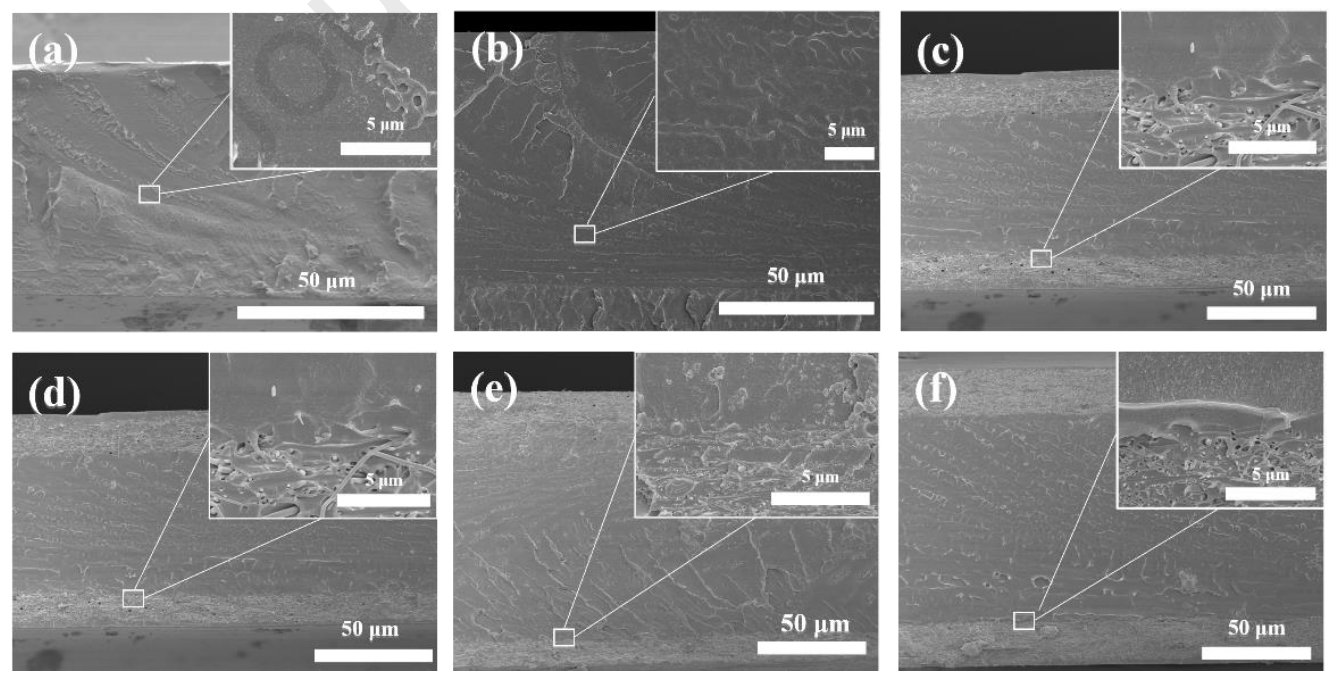 中国石油大学周琼&孟晓宇Polymer：高性能夹层结构PI/SPEEK+HPW纳米纤维复合膜的制备及其质子电导率和稳定性研究