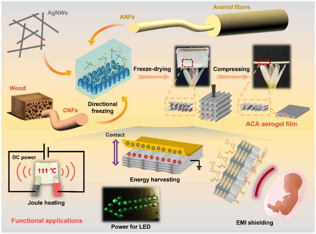 浙师大/北京纳米能源所CEJ：兼具电磁屏蔽、焦耳加热和能量收集功能的高性能导电气凝胶薄膜