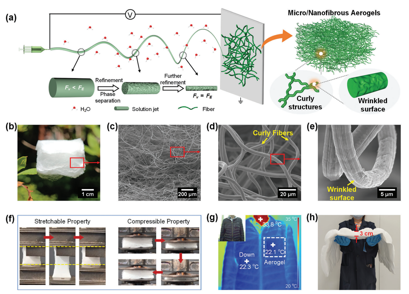 东华大学张世超&丁彬Small：直接静电纺丝制备超轻超弹性卷曲微/纳米纤维气凝胶，实现高性能保暖