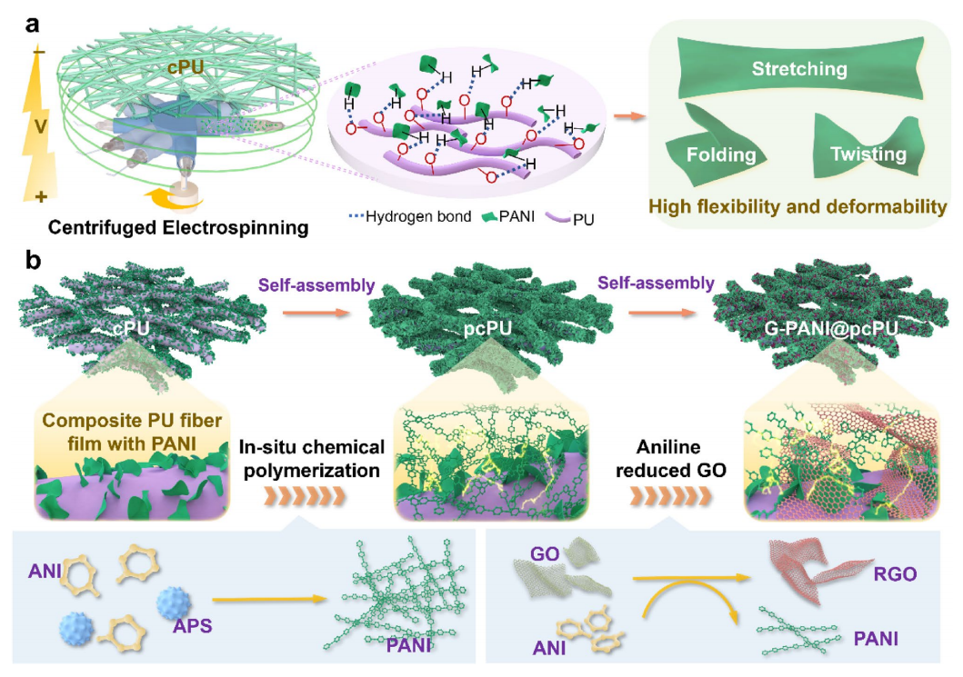 浙江理工大学武观&吕汪洋Adv. Fiber Mater.：基于离心电纺丝定向异质结构石墨烯-聚苯胺分层织物的高性能可拉伸超级电容器