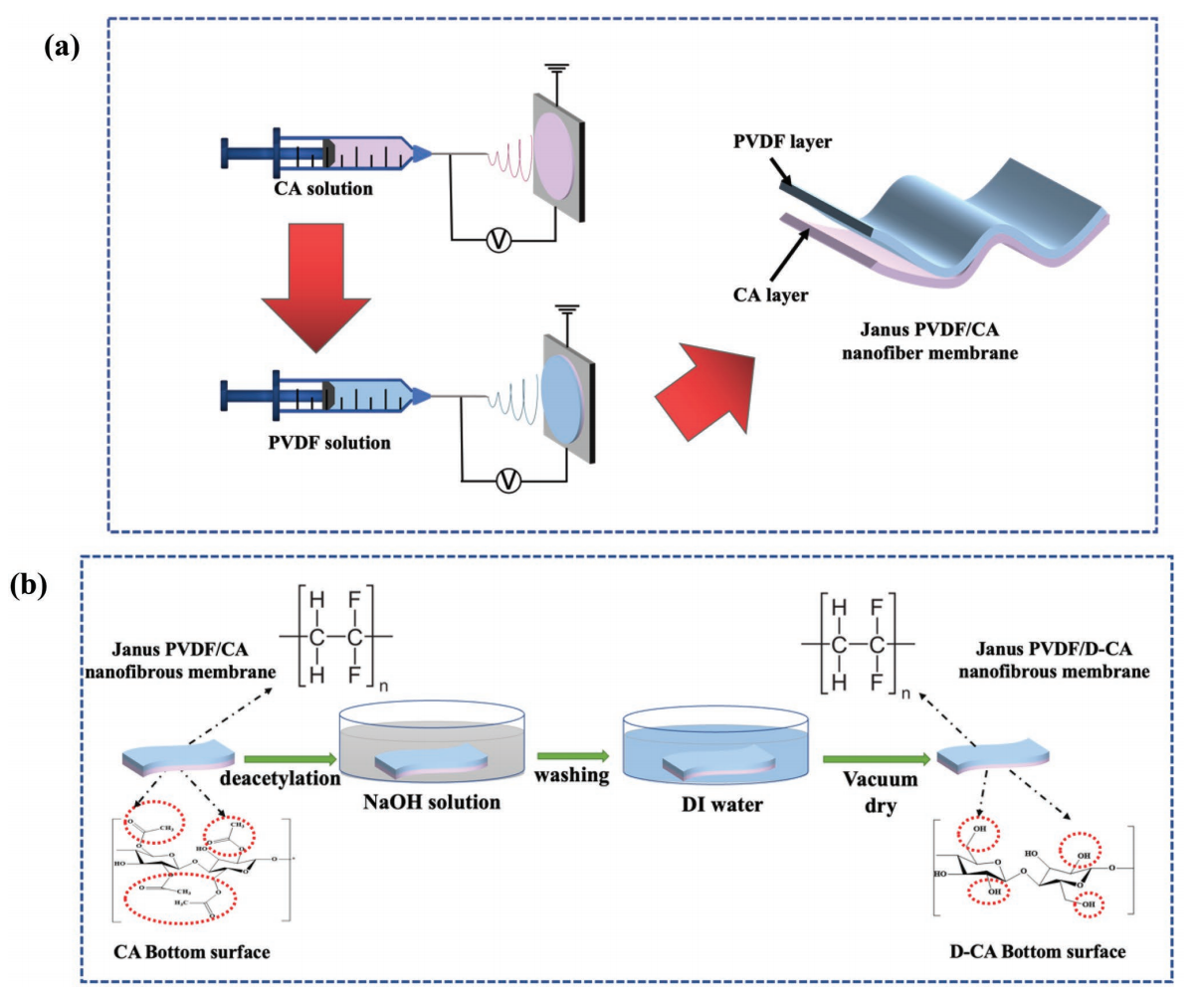 福建工程学院崔志香Adv. Mater. Interfaces：Janus PVDF/D-CA纳米纤维膜的制备、改性及其多功能应用