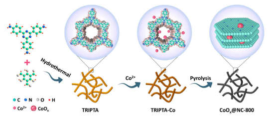 中国石油大学孙道峰&范黎黎ACS Appl. Mater. Interfaces： Co2+锚定共价有机框架衍生超稳定双功能电催化剂，用于高效ORR/OER和可充电锌空气电池