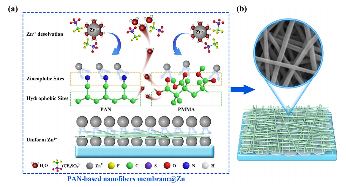中原工学院米立伟&陈孔耀Adv. Fiber Mater.：“亲锌疏水”PAN/PMMA纳米纤维膜助力高倍率无枝晶锌负极