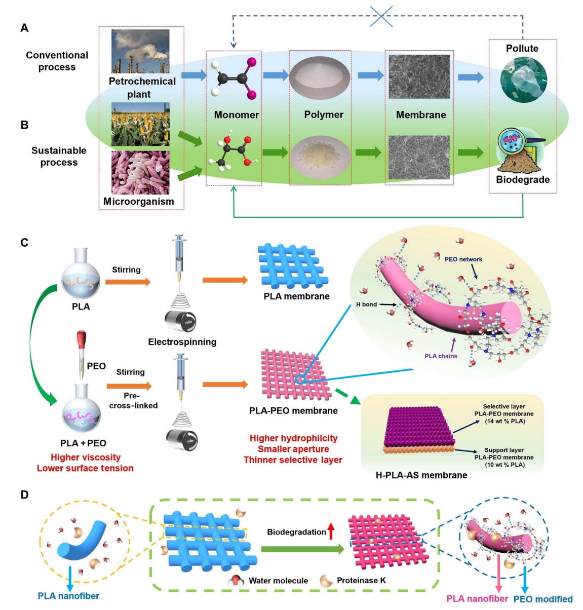 哈尔滨工业大学马军&邵路&程喜全Sci. Adv.：可生物降解静电纺丝超亲水纳米纤维膜实现超快油水分离