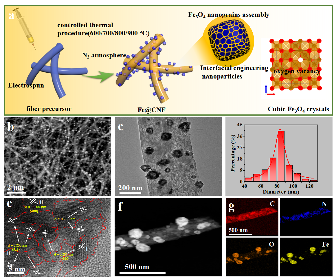江苏科技大学杨福副教授：静电纺丝制备界面调控的富氧空位Fe3O4纳米纤维，实现高性能N2还原制氨