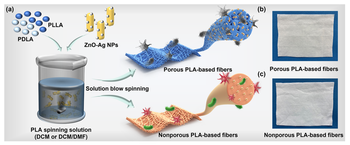 东华大学朱美芳&贾超ACS Appl. Mater. Interfaces：通过孔隙工程提高ZnO-Ag纳米颗粒负载聚乳酸基纳米纤维的抗菌性能