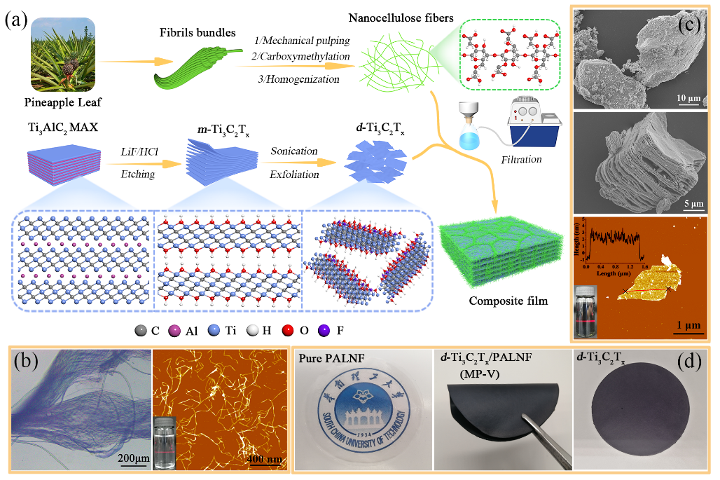 华南理工大学陈港教授团队Mater. Today Nano：菠萝叶纤维在高性能电磁屏蔽材料中的高值化利用