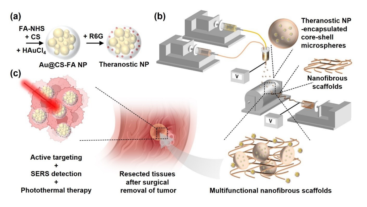中国科学院深圳先进技术研究院赵启龙&香港大学王敏Adv. Healthcare Mater.：多功能纳米纤维支架局部递送治疗性纳米颗粒用于癌症术后管理