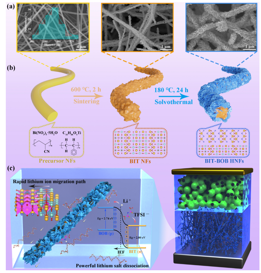 天津工业大学康卫民教授&邓南平副教授AFM：异质结纳米纤维促进聚合物电解质中锂盐的解离和锂离子的快速转移