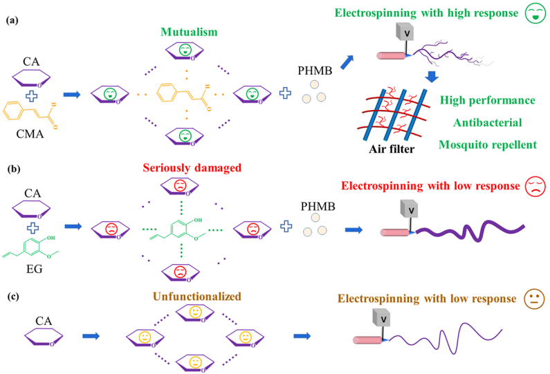  厦门大学郑高峰团队《Sep. Purif. Technol.》：共生主义启发的精油负载电纺纤维膜，助力抗菌驱蚊高性能空气过滤