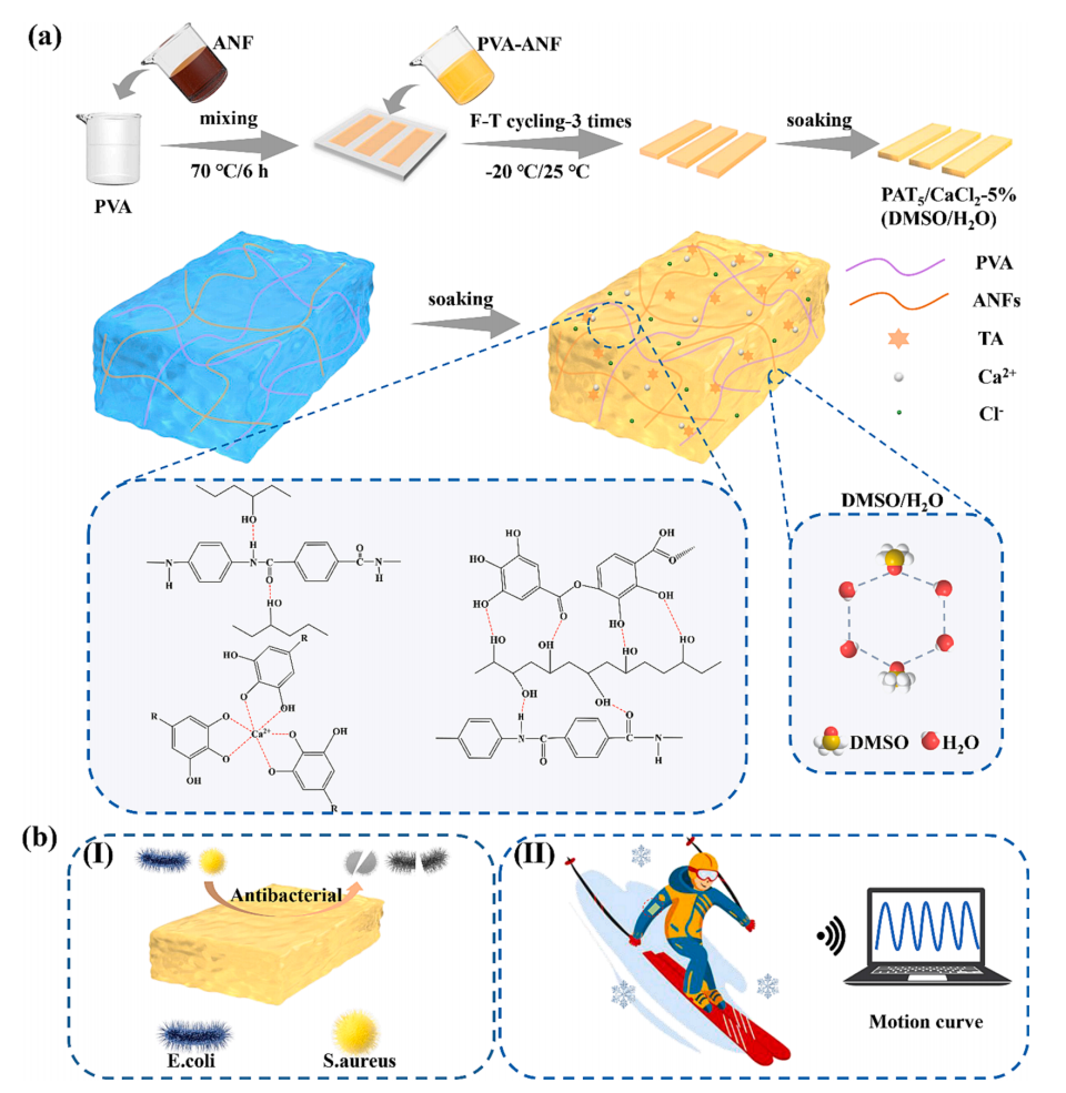 上海大学冯欣J. Colloid Interface Sci.：芳纶纳米纤维和单宁酸协同增强PVA离子导电水凝胶，用于机械坚固、防冻、保水和抗菌的柔性传感器