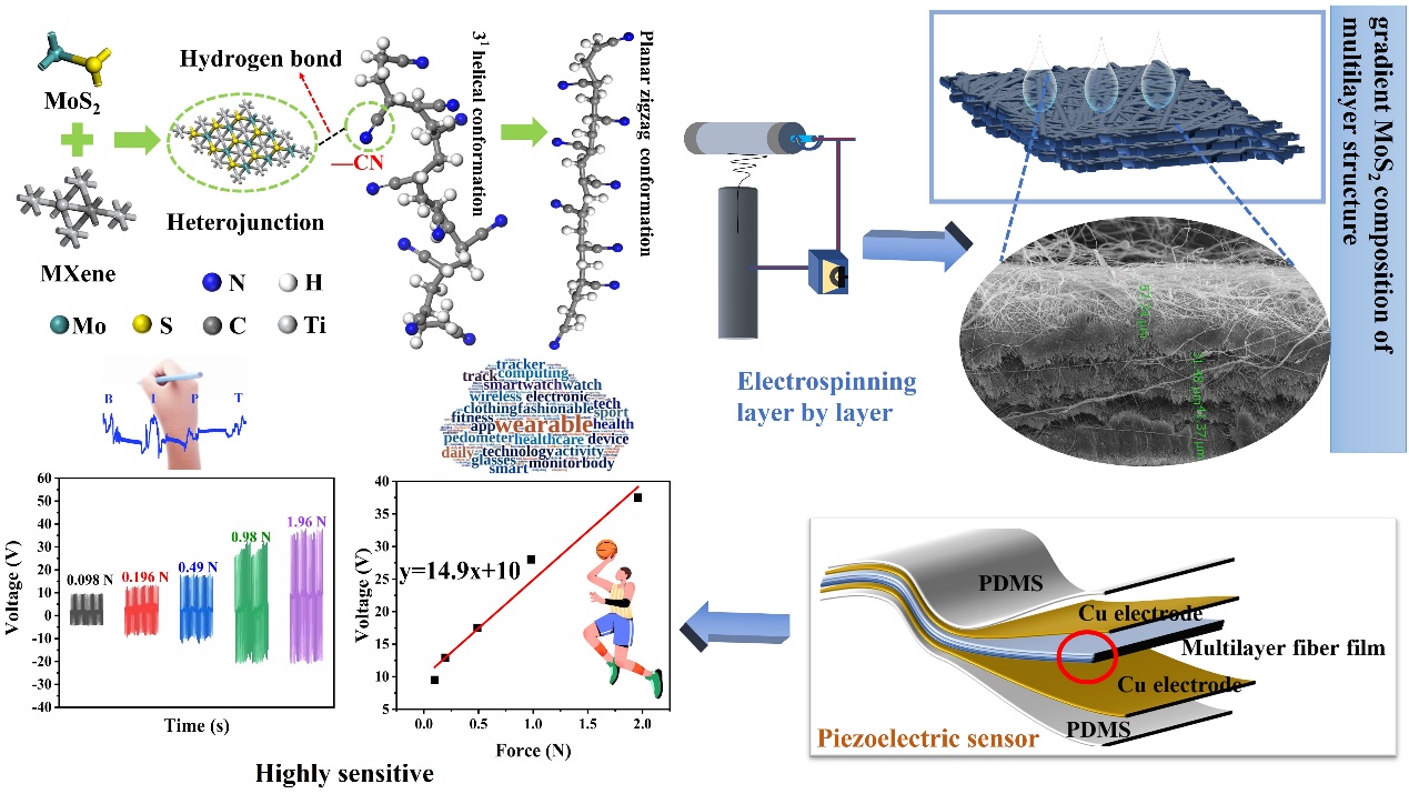 北京石油化工学院师奇松副教授Polymer：基于MXene/MoS2异质结构与梯度多层协同效应的高灵敏度、透气柔性传感器，用于人体运动监测
