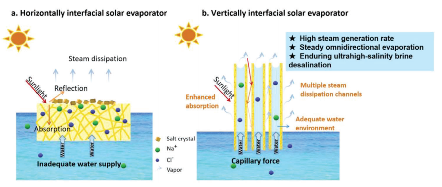 东华大学覃小红&王黎明Small：纳米纤维膜直立构建垂直界面蒸发器，用于高效太阳能蒸发、全向太阳能吸收和超高盐度海水淡化