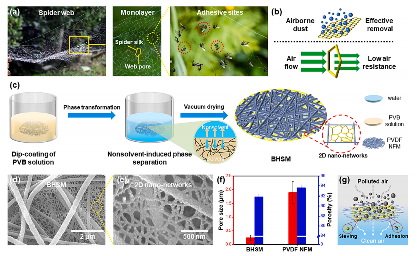 东华大学丁彬&刘晓艳&刘书德J. Colloid Interface Sci.：通过分层相分离设计自组装二维纳米网络膜，实现高效空气过滤