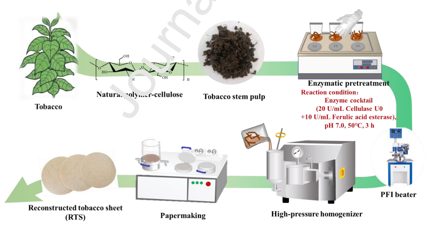 天津科技大学安兴业&刘洪斌Carbohydr. Polym.：烟草基纤维素纳米纤维的高效、无毒分离方法