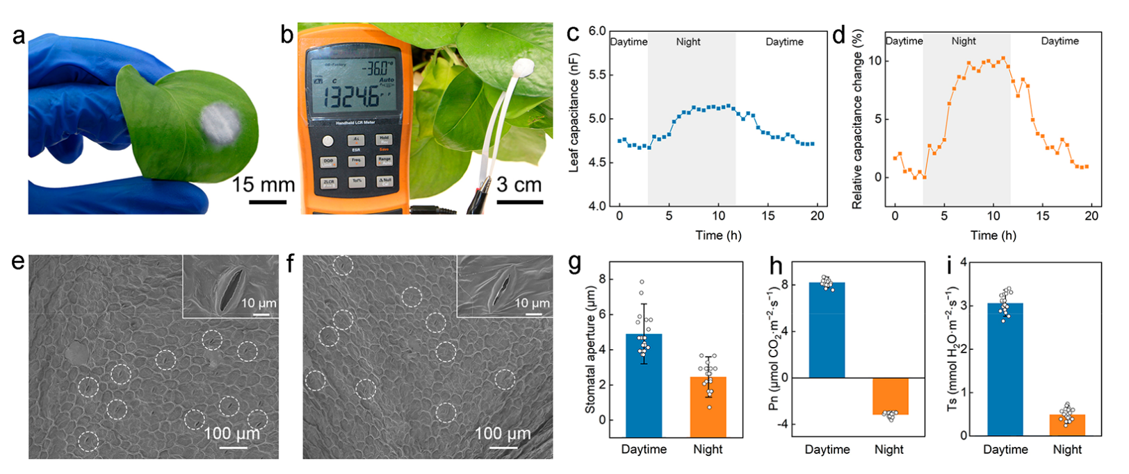 浙江大学应义斌ACS Appl. Mater. Interfaces：自粘、防水、透气电极实时检测植物水分状态变化