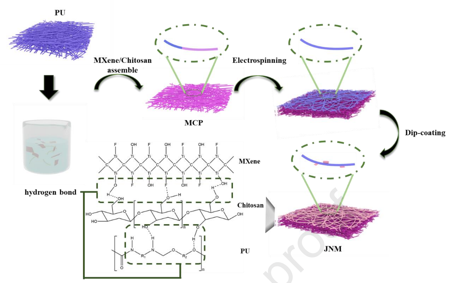 扬州大学高杰峰Compos. Sci. Technol.：基于MXene的柔性Janus纳米纤维膜构建多功能可穿戴传感器