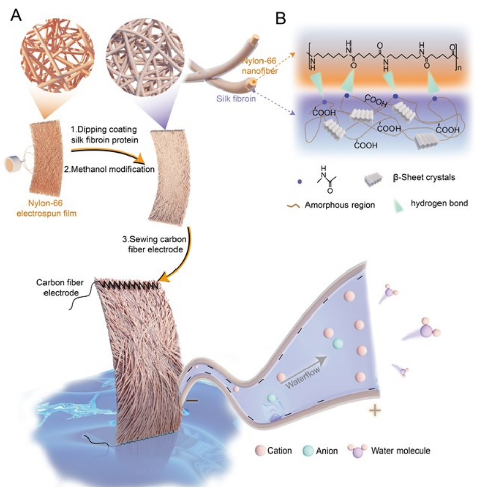 中科院苏州纳米所张珽&李连辉Adv. Mater.：丝素蛋白调节纳米通道，用于柔性水伏离子传感