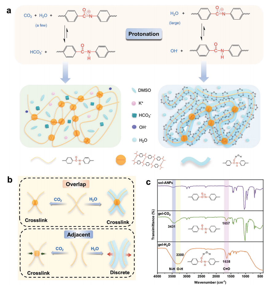 西安交通大学丁书江&胡小飞&高国新Adv. Energy Mater.：CO2辅助诱导自组装芳纶纳米纤维气凝胶复合固体聚合物电解质，用于全固态锂金属电池