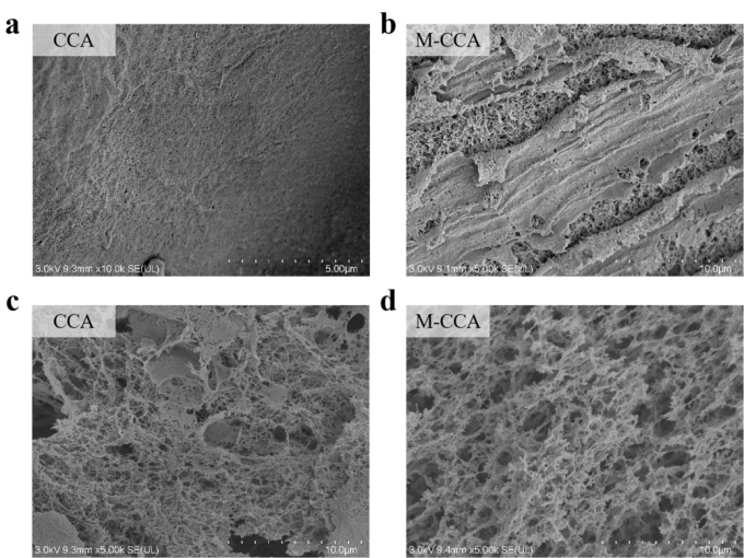 南京林业大学郑兆娟教授：利用MTES和PEI改性壳聚糖-几丁质纳米纤维复合气凝胶，制备高效吸附剂