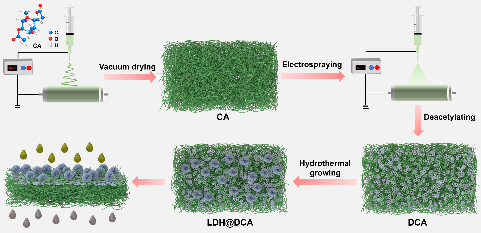 陕西科技大学陆赵情教授：3D花状LDH修饰的醋酸纤维素纳米纤维膜，用于高效的油/水乳液分离