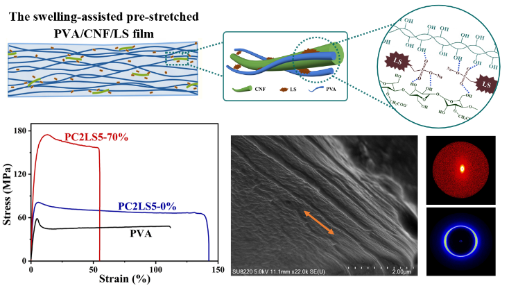 华南理工刘伟峰和广东工大邱学青ACS Sustainable Chem. Eng.：溶胀辅助预拉伸制备CNF/LS取向增强PVA复合膜