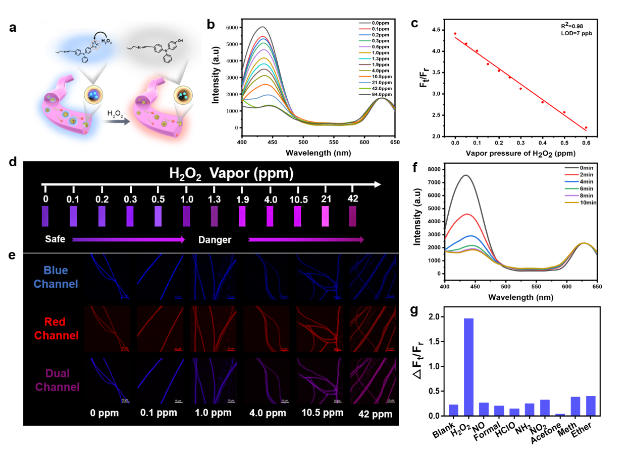 齐鲁工业大学高萌&陶圆圆课题组：具有光动力抗菌性能的便携式多功能H2O2气体传感平台